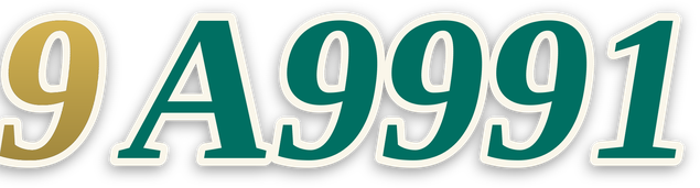 9a9991